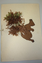 Koululaisten tekemä runokirja